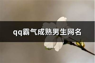 霸气十足的男主播网名推荐大全，助你展现个性魅力！